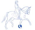 drawing dressage horse with rider CURAFYT