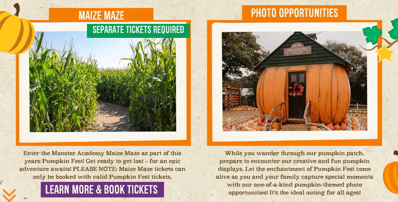 Discover the biggest and best pumpkin festival in Devon & Cornwall, and South West! Pumpkin Fest at Strawberry Fields is the ultimate family day out with a huge pumpkin patch, pumpkin picking, maize maze, barrel train rides, photo spots, tasty autumn treats & fun for all ages. Book now!
