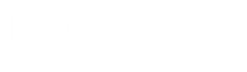 logo of The Elser