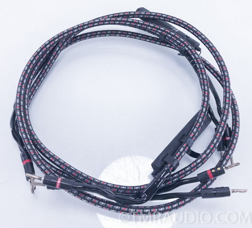 Audioquest  CV-8 Speaker Cables; 6' Pair; 72v DBS (3139)