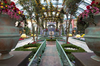 Bellagio Conservatory  Botanical Gardens Uploaded on 2021-12-13