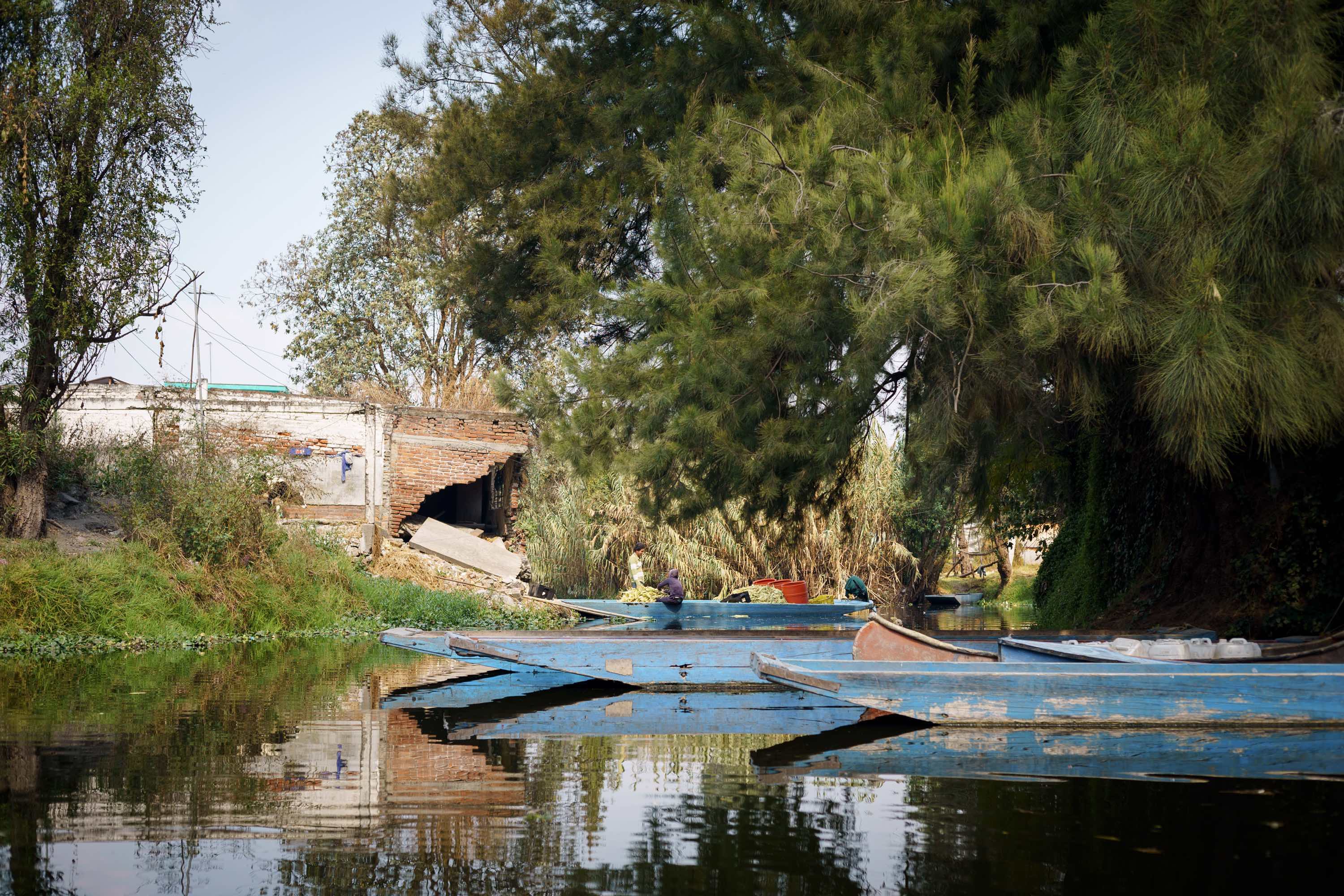 The canals in Xochimilco, Mexico 