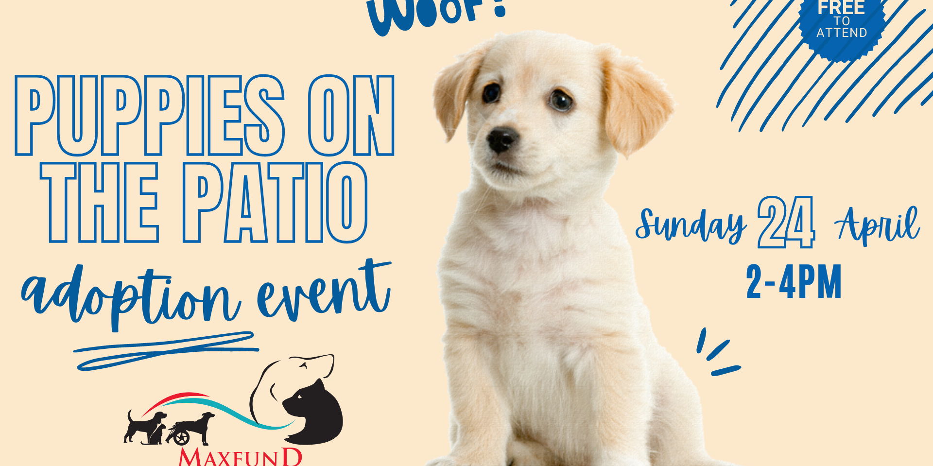 Puppy Adoption Event with MaxFund promotional image