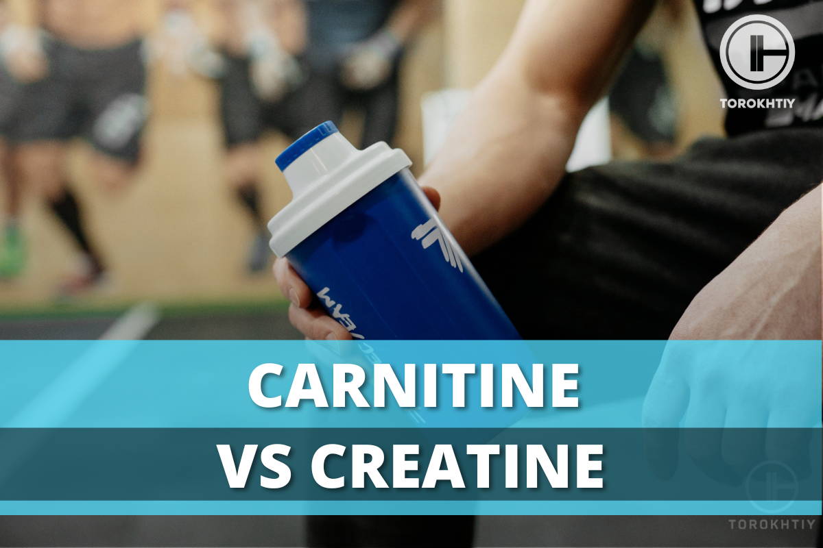 carnitine vs creatine