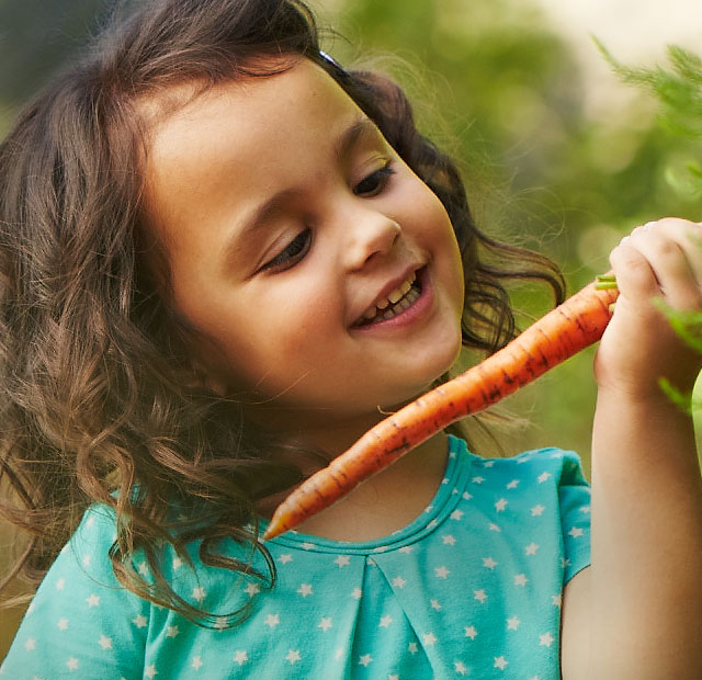 Young Toddler holding carrot 
