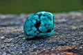 Turquoise Crystal for emotional healing