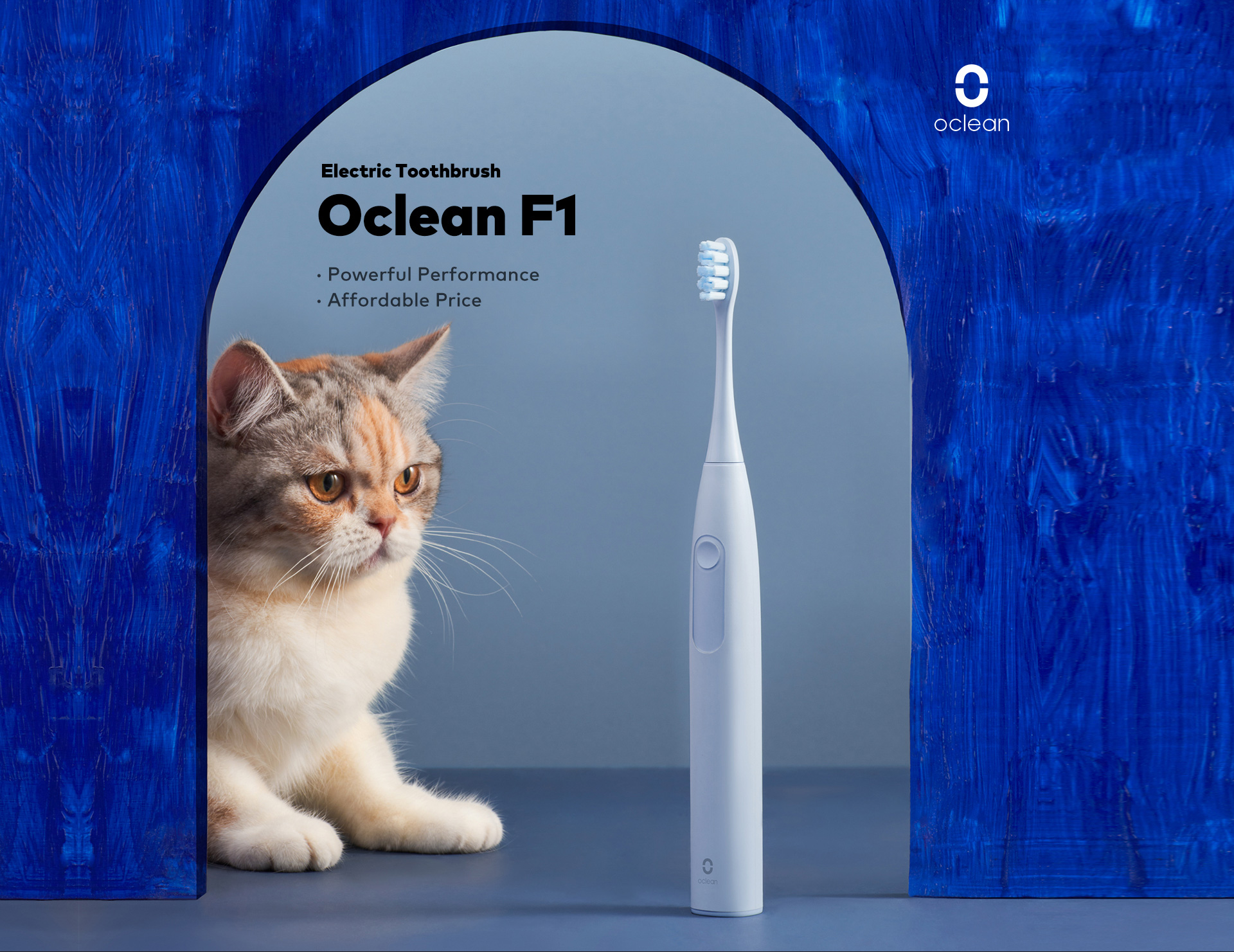 electric toothbrush oclean F1