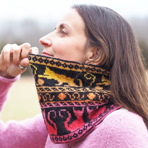 Cowl's Meow Reversible Neckwarmer