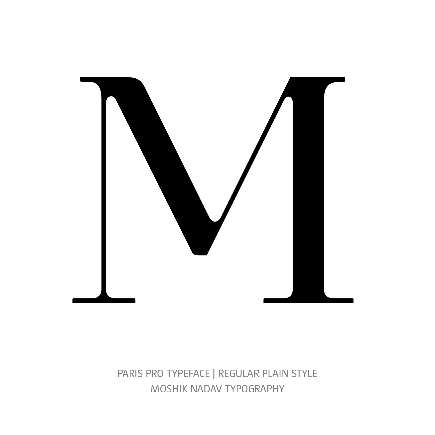 Paris Pro Typeface Regular Plain M