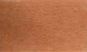 skin-4