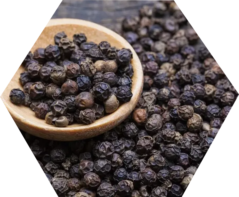 Black peppercorns in a wooden spoon — the source of BioPerine®