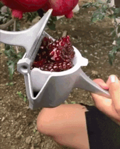 HEAVY DUTY Fruit Juicer – Viral Gifts™