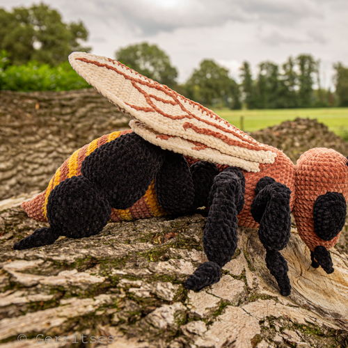 3-in-1-bundel: libel, honingbij, sprinkhaan