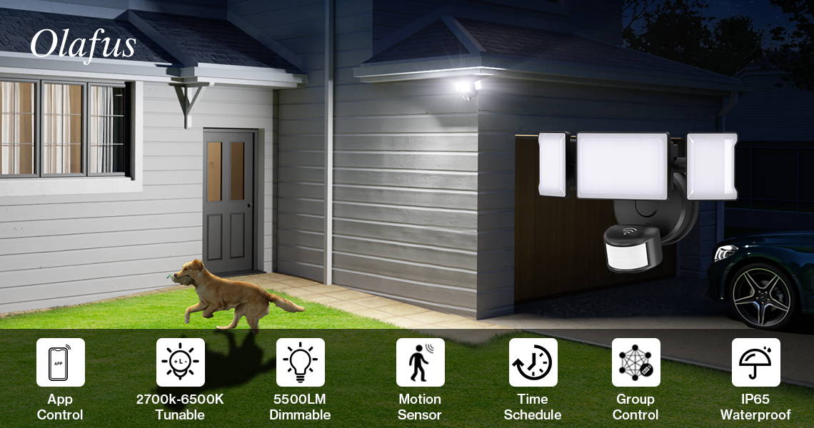 Olafus Smart Motion Activated Outdoor Lights