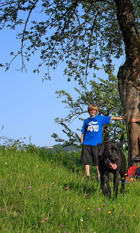 Wanderurlaub im Allgäu mit Fewo in Pfronten buchen