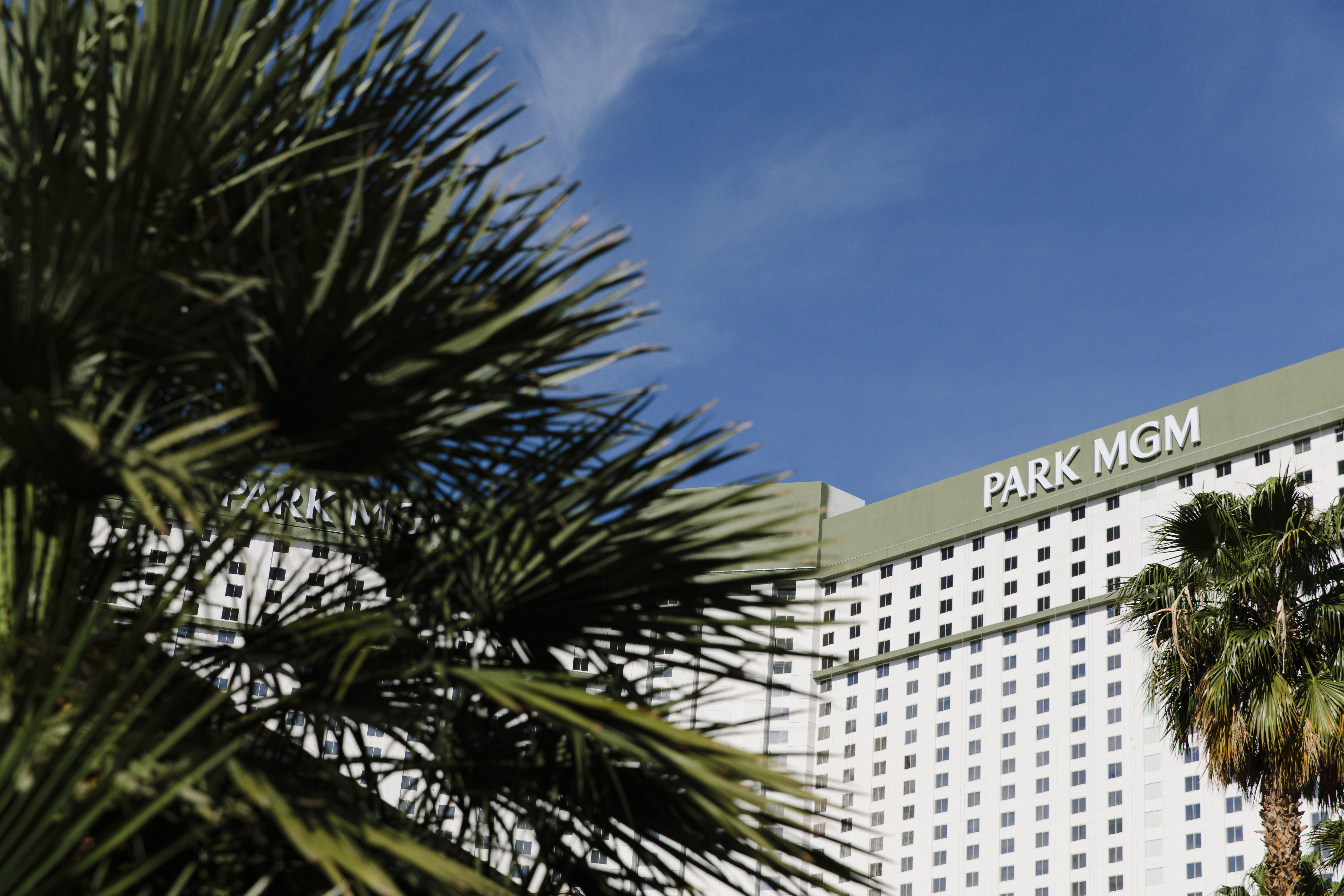 Park MGM Uploaded on 2021-12-03