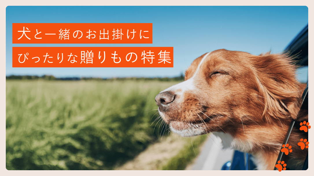 犬と一緒のお出掛けにぴったりな贈りもの特集