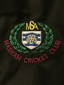 Masham cricket club logo