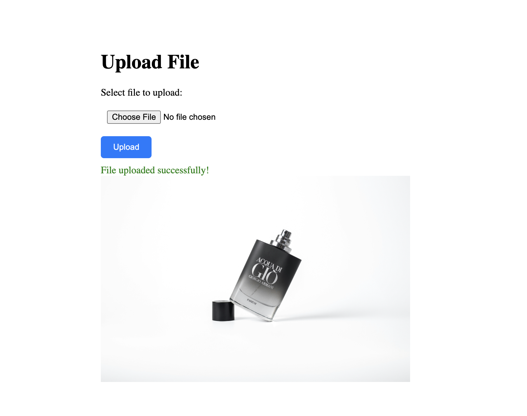 Laravel File Upload Form