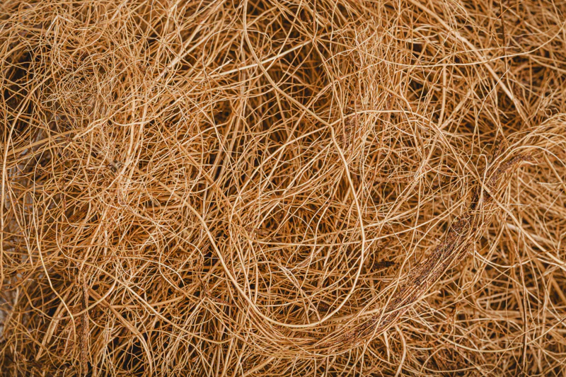 Coco coir
