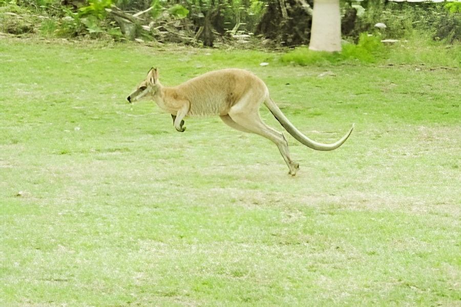 Rossville Retreat Voucher - Image 8