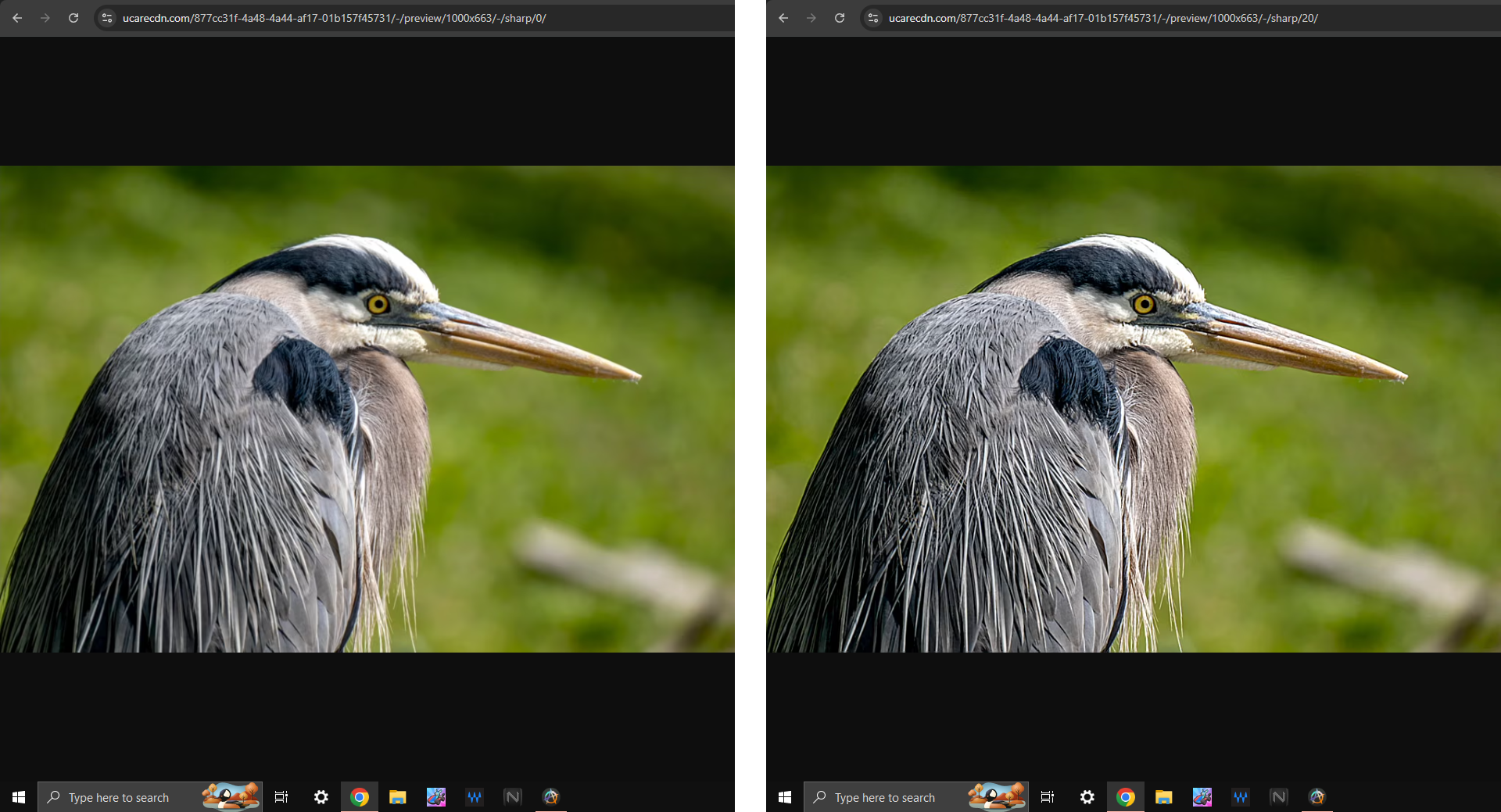 Before and after comparison for Uploadcare’s Image Sharpening
