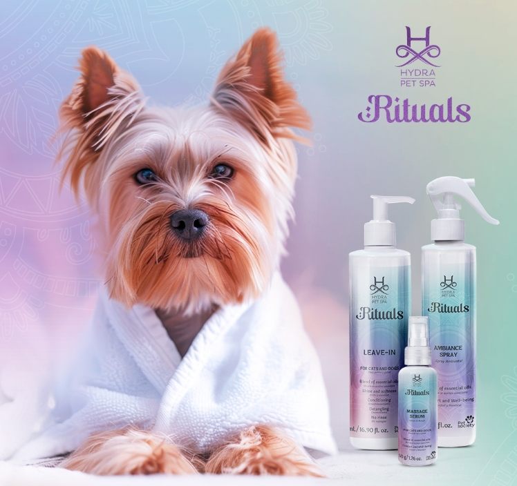 Screenshot_29-12-2025_11224_www.hydragroomers.com