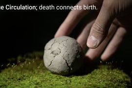 True Circulation; death connects birth.