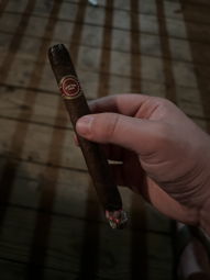 AF Curly Head Maduro
