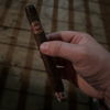 AF Curly Head Maduro