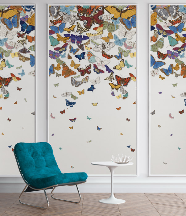 white beautiful butterfly wallpaper hero image