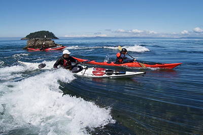 Kayakers paddling in the water.