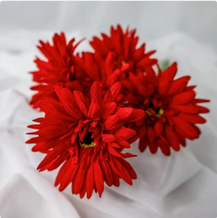 Red Real Touch Gerbera - Realistic Artificial Flowers