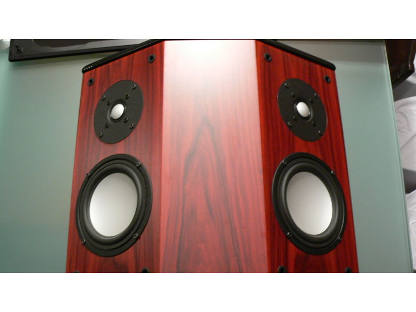 AV 123 RSS 300 surrounds Gorgeous Rosewood finish  /  PRICE REDUCED !