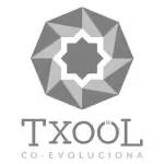 logotipo certiprof Txool
