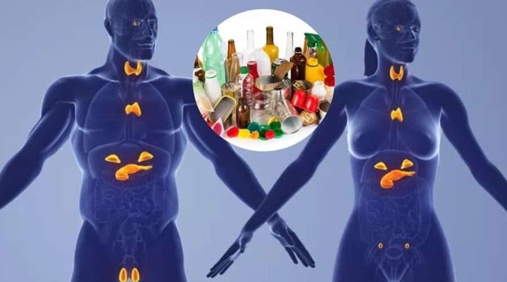 Main Content Image