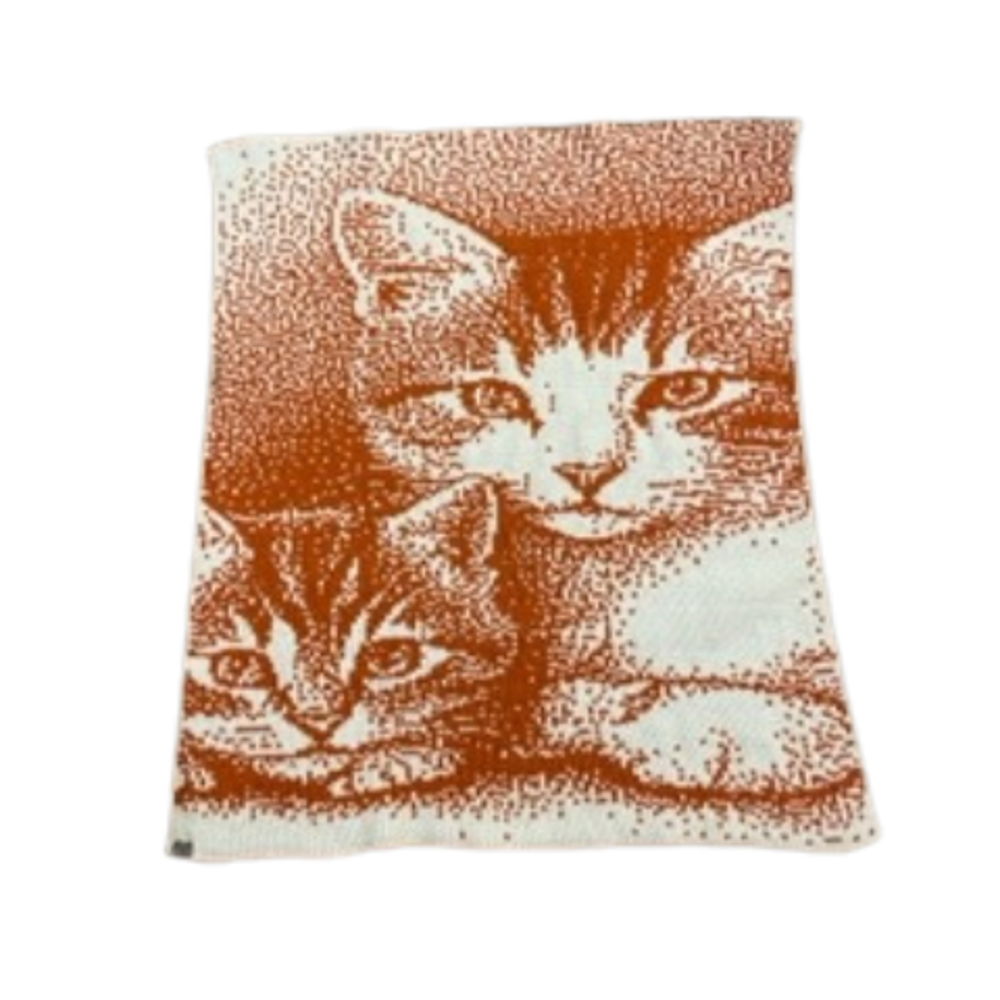 2 Little Kittens