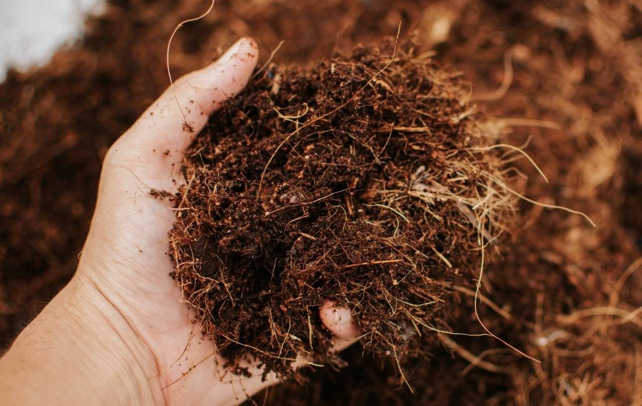 side-view-hands-holding-potting-soil