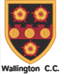 Wallington Cricket Club logo