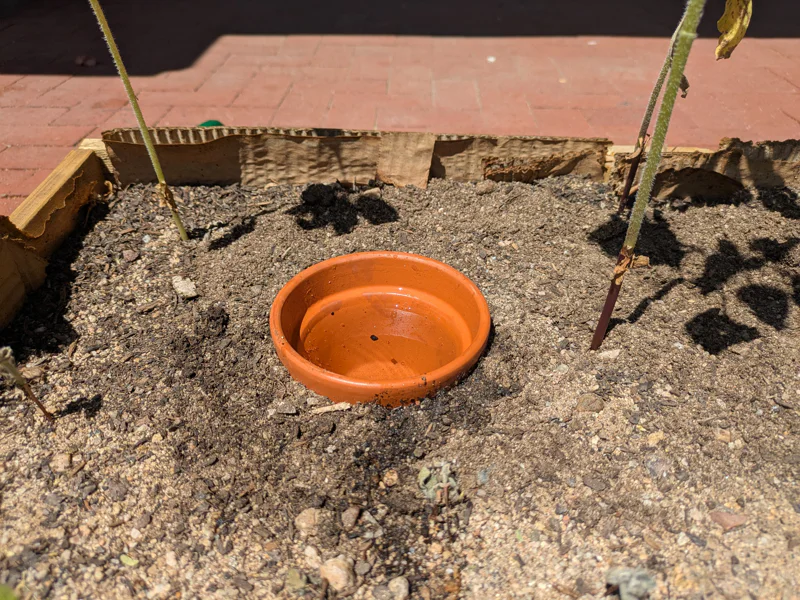 Olla full of water