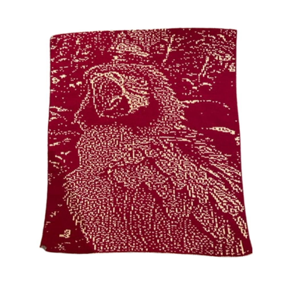 Parrot Baby Blanket