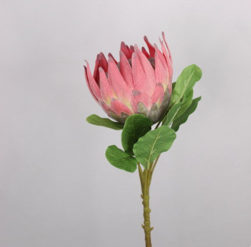 King Protea - Realistic Artificial Flowers - Image 8