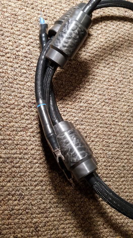 Virtual Dynamics Genesis 1.1 Bi-Wire Speaker Cable (6 f...