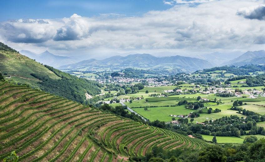 Œnotourisme en France – vignobles et vins