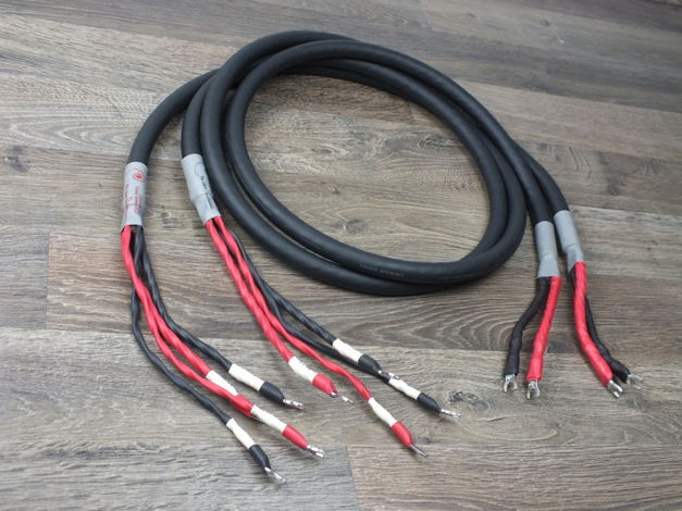 Cardas Audio Golden Reference speaker cables 2,0 metre ...