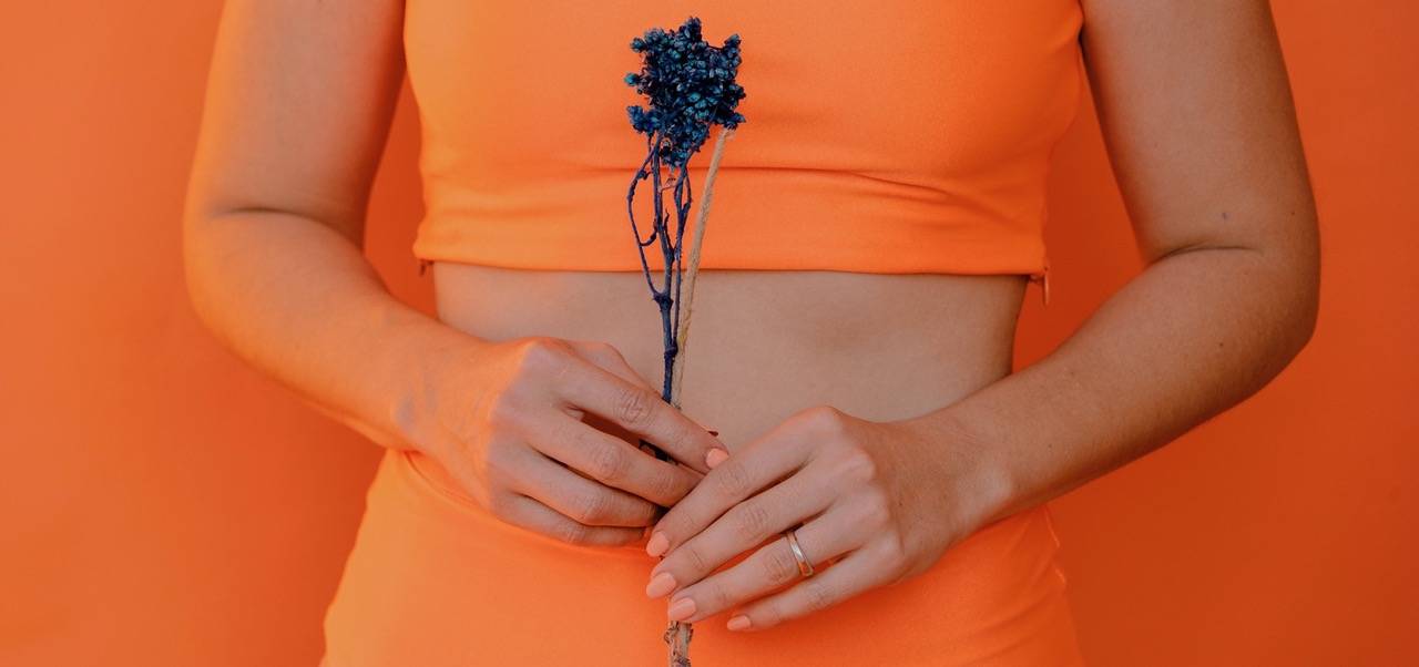 Ausschnitt des Rumpfs einer Frau mit Trockenblume in den Händen