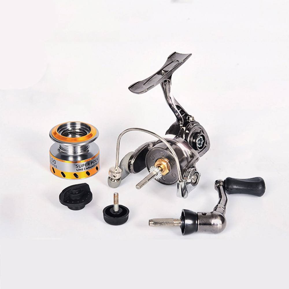 Small reel, big bites.