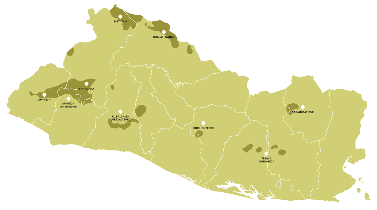 map from el salvador with all coffee producing regions