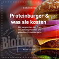 Proteinburger, Kosten, Burger, Ernährung, vegane Burger