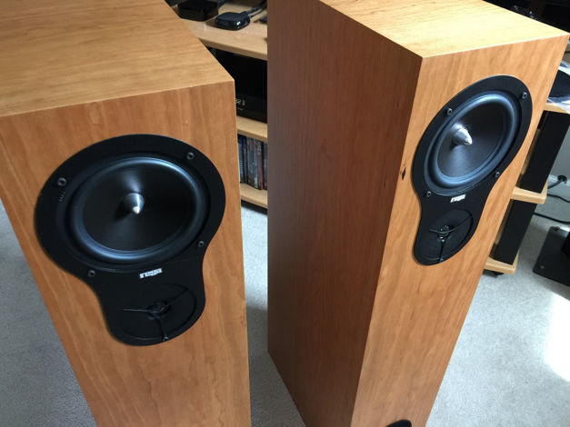 Rega Research RX-5 in Cherry 3 Way Floor-Standing Speakers